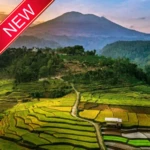 pemandangan indah wallpaper android application logo